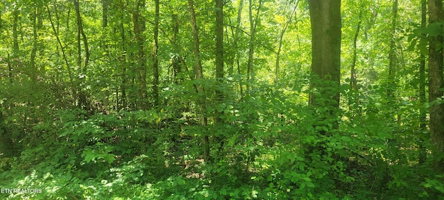 Shadden Rd, Tellico Plains, TN 37385