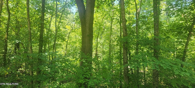 Shadden Rd, Tellico Plains, TN 37385
