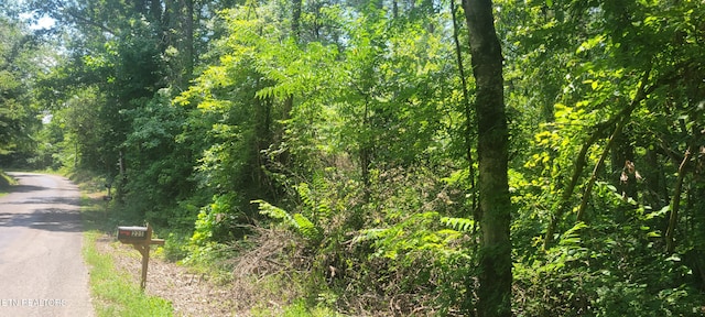 Shadden Rd, Tellico Plains, TN 37385