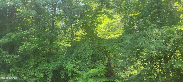 Shadden Rd, Tellico Plains, TN 37385