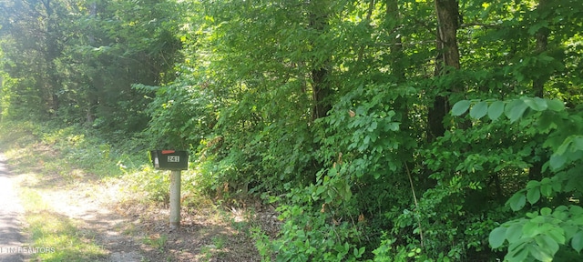 Shadden Rd, Tellico Plains, TN 37385