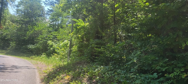 Shadden Rd, Tellico Plains, TN 37385