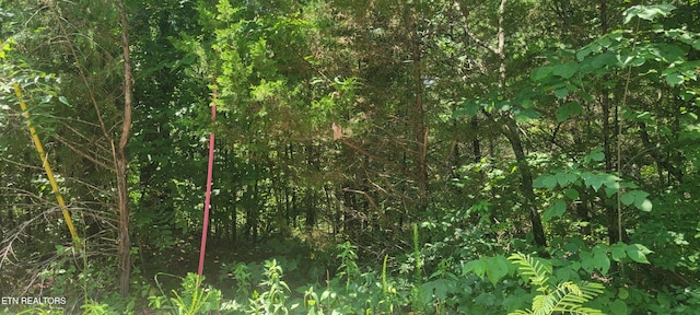Shadden Rd, Tellico Plains, TN 37385