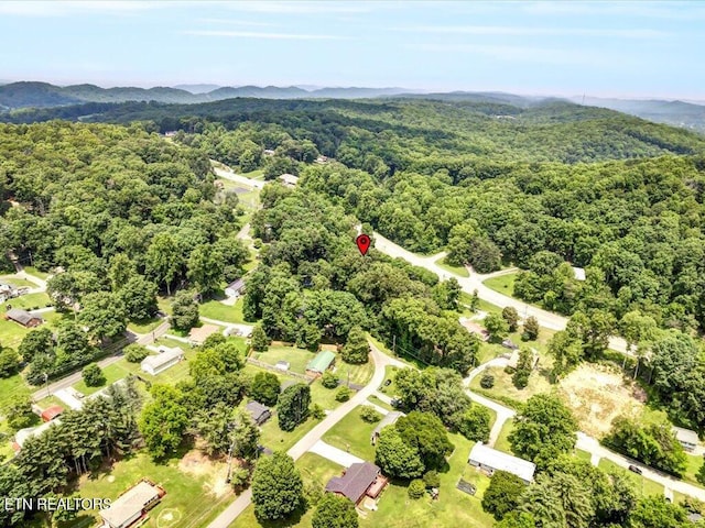 120 Oak Rd, Powell, TN 37849 - photo 29