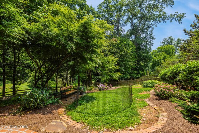 706 Forest Heights Rd, Knoxville, TN 37919 - photo 33