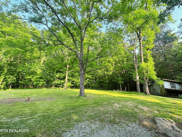 5936 Thorn Grove Pike, Knoxville, TN 37914 - view of grassy yard with an outbuilding