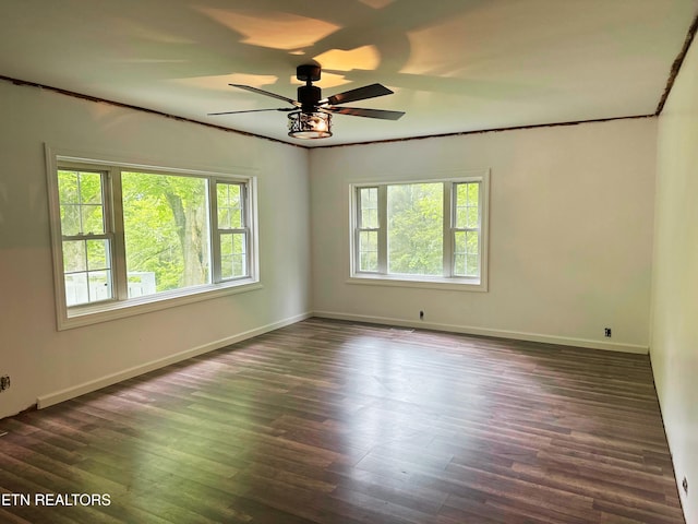 5936 Thorn Grove Pike, Knoxville, TN 37914 - empty room with ceiling fan, dark wood-style floors, and crown molding