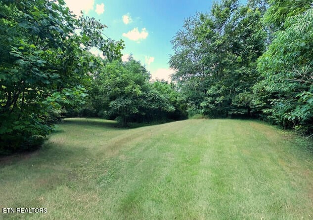 5936 Thorn Grove Pike, Knoxville, TN 37914 - view of green lawn