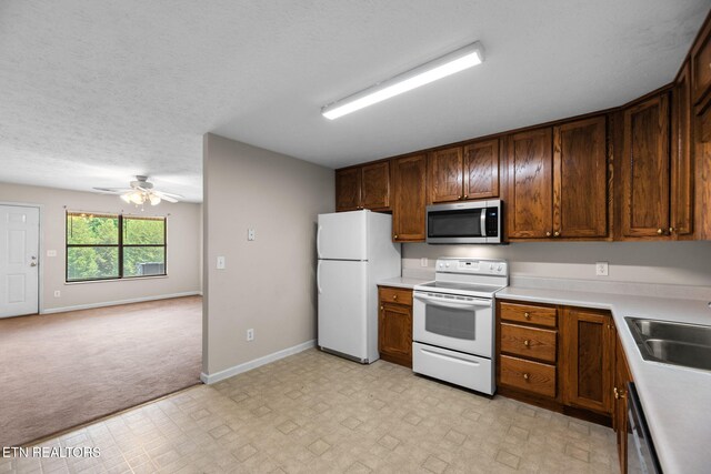 2249 S Hardin Ln, Seymour, TN 37865 - photo 9