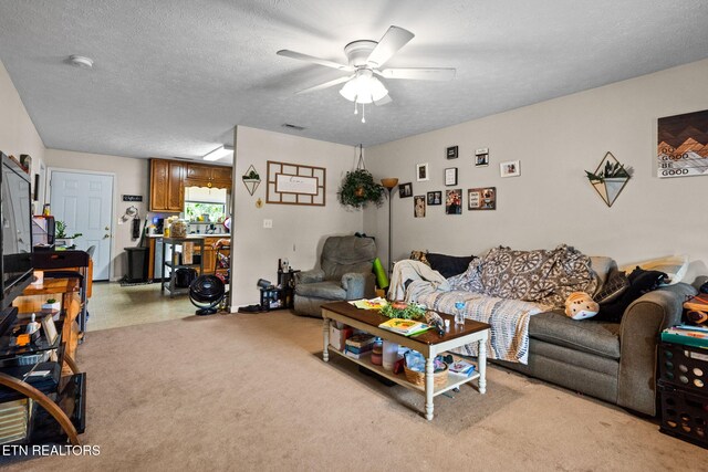 2249 S Hardin Ln, Seymour, TN 37865 - photo 32