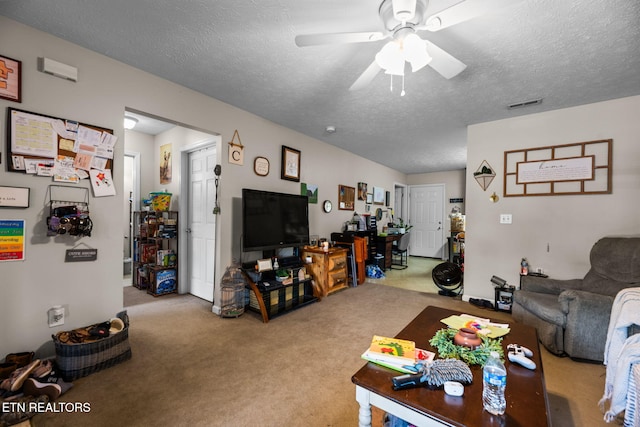 2249 S Hardin Ln, Seymour, TN 37865 - photo 39