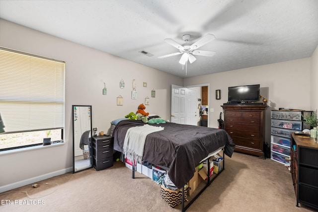 2249 S Hardin Ln, Seymour, TN 37865 - photo 43