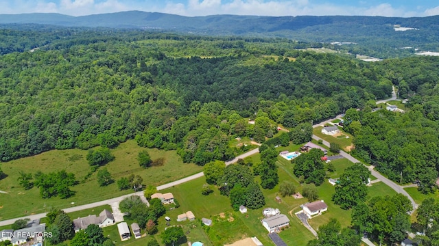 315 Delozier Ln, Rockwood, TN 37854 - photo 17
