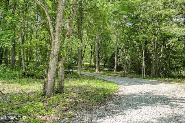 910 Hassler Mill Rd, Harriman, TN 37748 - photo 36