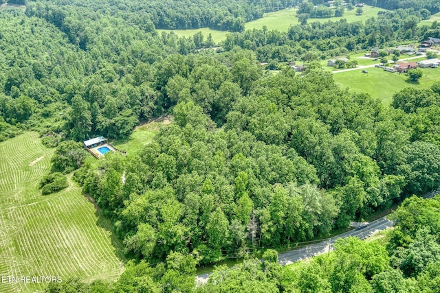 910 Hassler Mill Rd, Harriman, TN 37748 - photo 50