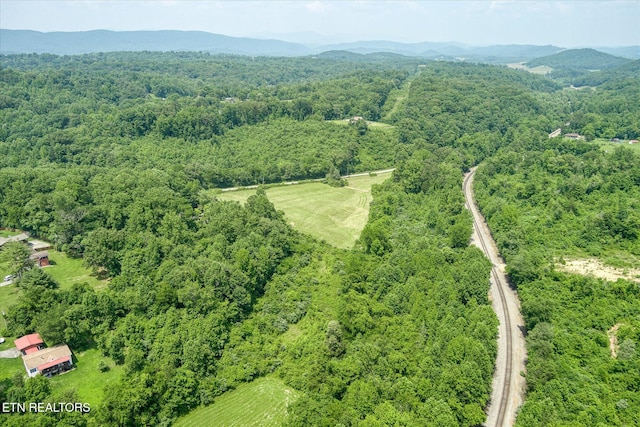 910 Hassler Mill Rd, Harriman, TN 37748 - photo 52