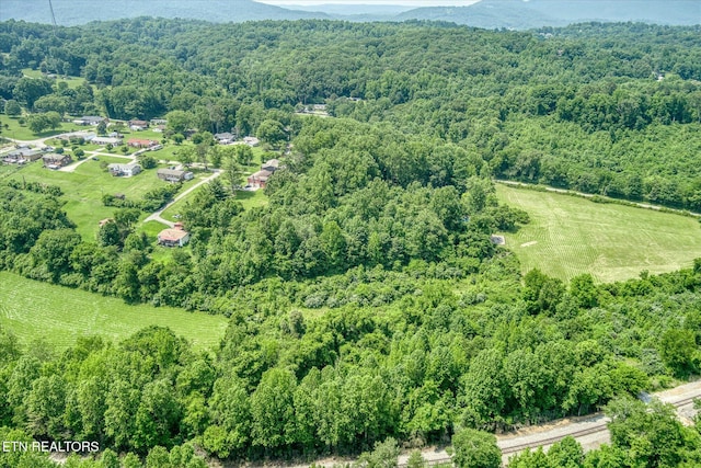 910 Hassler Mill Rd, Harriman, TN 37748 - photo 53