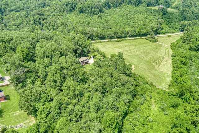 910 Hassler Mill Rd, Harriman, TN 37748 - photo 54