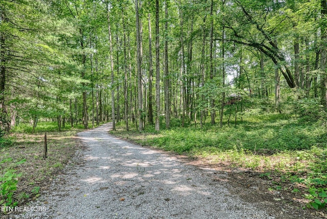 910 Hassler Mill Rd, Harriman, TN 37748 - photo 37