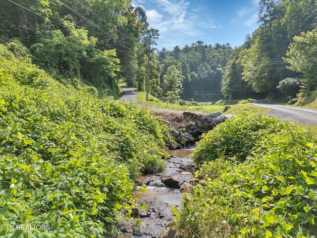 4620 Teague Branch Rd, Hartford, TN 37753 - view of yard featuring a wooded view