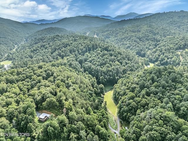 4620 Teague Branch Rd, Hartford, TN 37753 - drone / aerial view of mountains and a forest