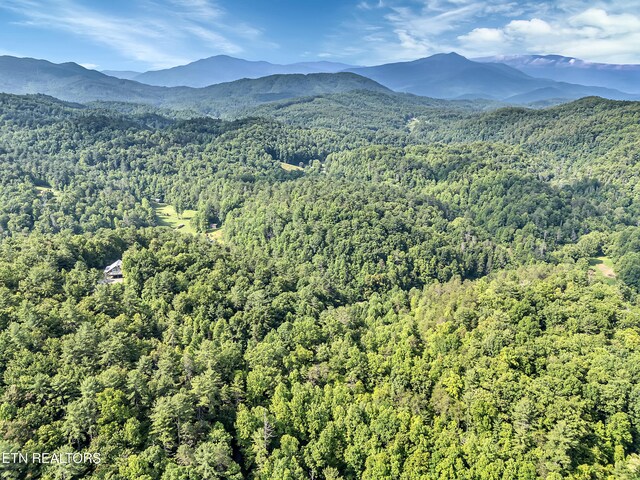 4620 Teague Branch Rd, Hartford, TN 37753 - view of mountain backdrop featuring a forest