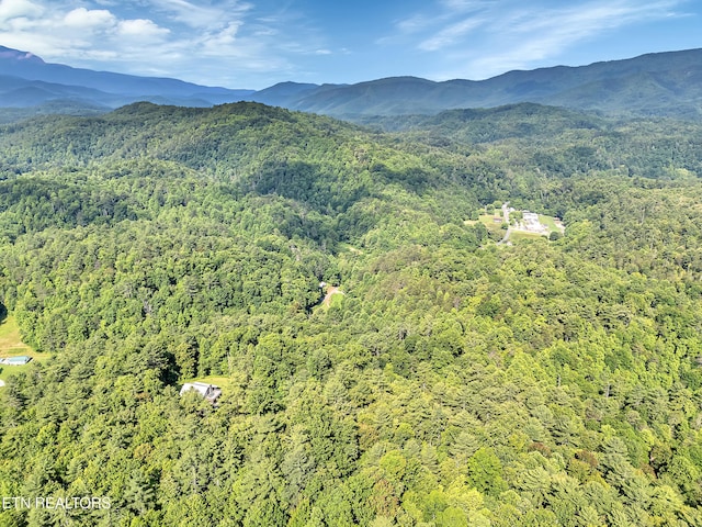 4620 Teague Branch Rd, Hartford, TN 37753 - aerial view of a heavily wooded area and a mountainous background