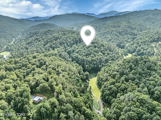 4620 Teague Branch Rd, Hartford, TN 37753 - bird's eye view of a mountainous background and a forest