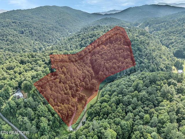 4620 Teague Branch Rd, Hartford, TN 37753 - aerial view of property's location featuring property boundaries highlighted, a heavily wooded area, and mountains