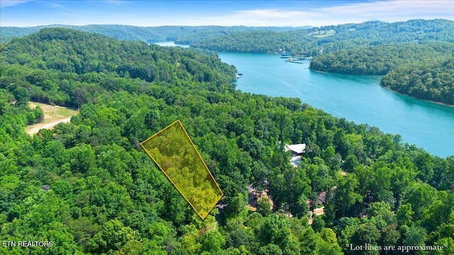 Hiwassee Dr, Jacksboro, TN 37757