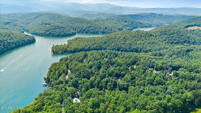 Hiwassee Dr, Jacksboro, TN 37757