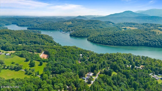 Hiwassee Dr, Jacksboro, TN 37757