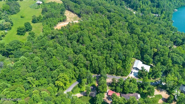 Hiwassee Dr, Jacksboro, TN 37757
