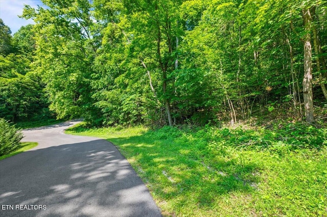 Hiwassee Dr, Jacksboro, TN 37757