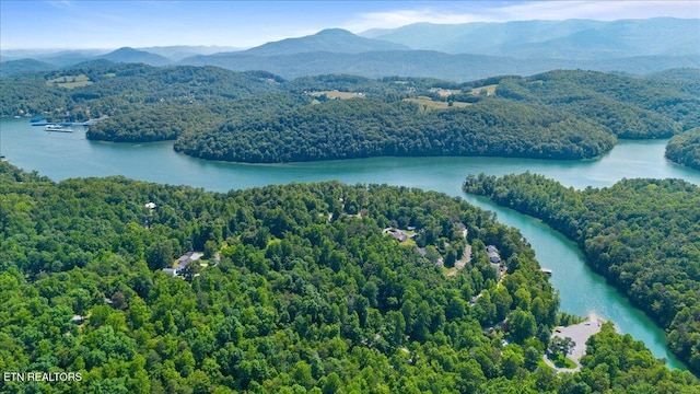 Hiwassee Dr, Jacksboro, TN 37757