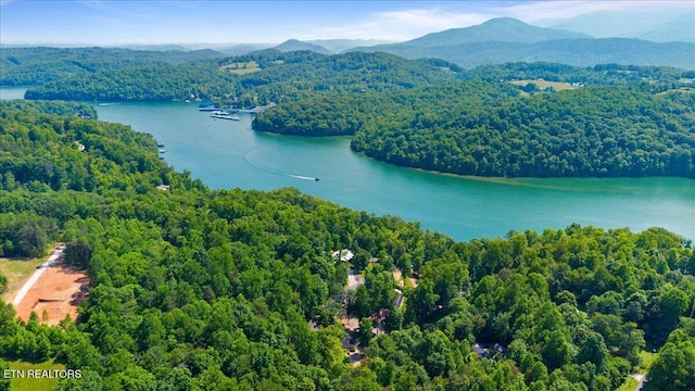 Hiwassee Dr, Jacksboro, TN 37757