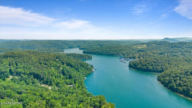 Hiwassee Dr, Jacksboro, TN 37757