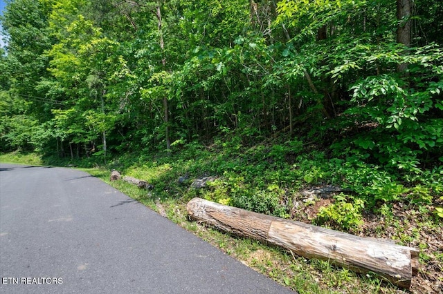 Hiwassee Dr, Jacksboro, TN 37757