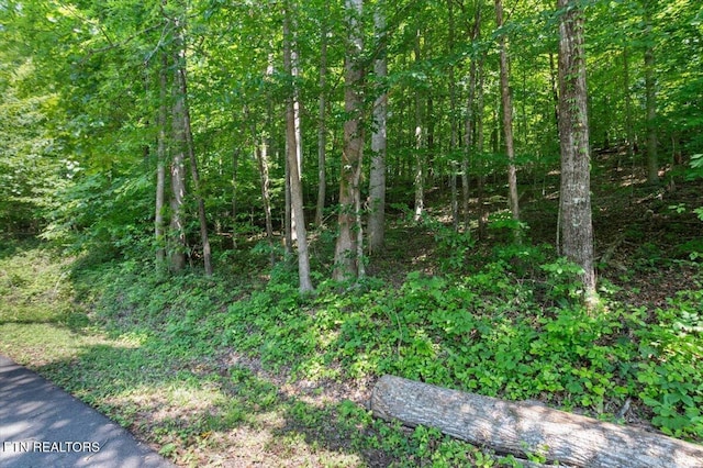Hiwassee Dr, Jacksboro, TN 37757