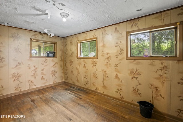 138 Bethlehem Ln, Lafollette, TN 37766 - basement with hardwood / wood-style flooring, plenty of natural light, a textured ceiling, and baseboards