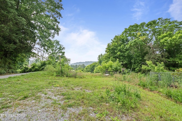 138 Bethlehem Ln, Lafollette, TN 37766 - view of yard
