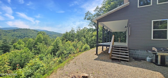 1464 Blue Mill Rd, Del Rio, TN 37727 - view of yard featuring a wooded view and a mountain view