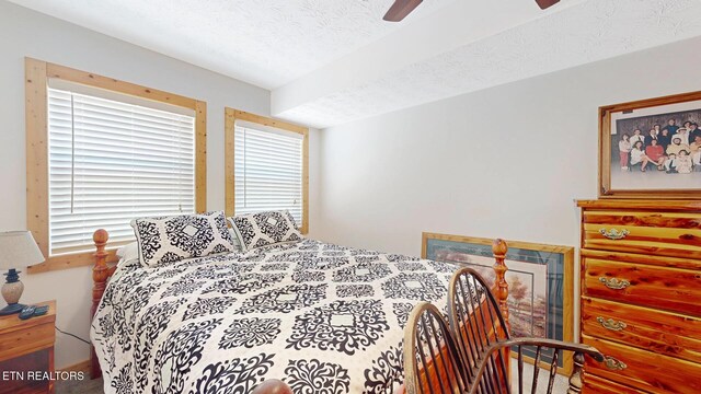 1464 Blue Mill Rd, Del Rio, TN 37727 - bedroom with a textured ceiling and a ceiling fan