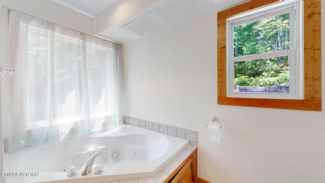 1464 Blue Mill Rd, Del Rio, TN 37727 - full bath featuring a jetted tub