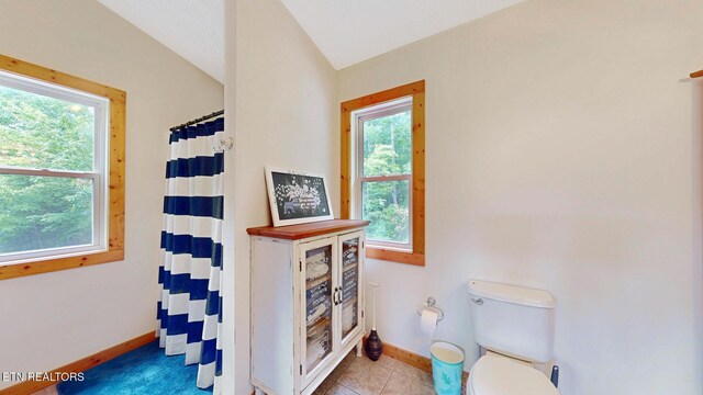 1464 Blue Mill Rd, Del Rio, TN 37727 - bathroom with toilet, baseboards, vaulted ceiling, tile patterned flooring, and a shower with shower curtain