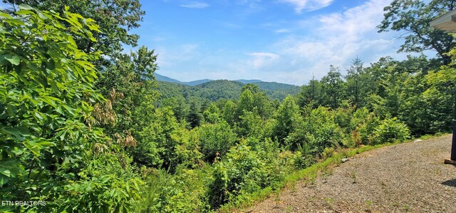 1464 Blue Mill Rd, Del Rio, TN 37727 - mountain view featuring a forest