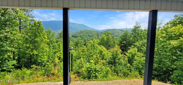 1464 Blue Mill Rd, Del Rio, TN 37727 - view of mountain background featuring a heavily wooded area