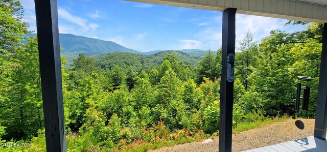1464 Blue Mill Rd, Del Rio, TN 37727 - view of mountain backdrop with a heavily wooded area