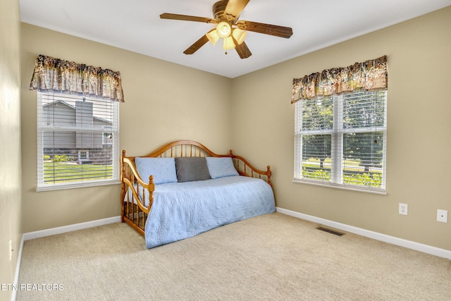 1707 Brookview Dr, Dandridge, TN 37725 - bedroom featuring carpet floors, multiple windows, and baseboards