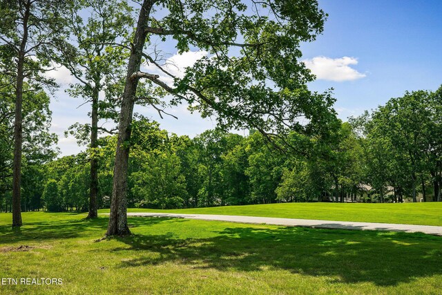 456 Lakeview Dr, Crossville, TN 38558 - photo 53